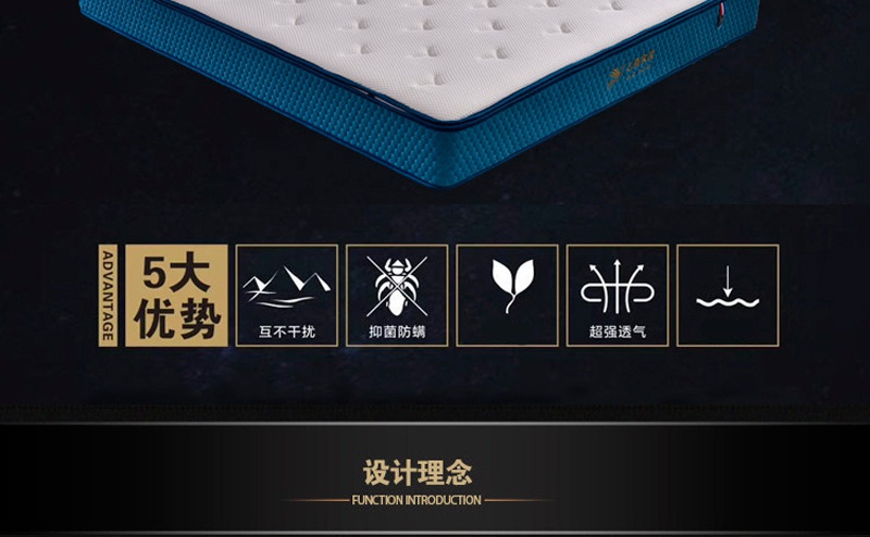 Q106蓝梦七号_02.jpg