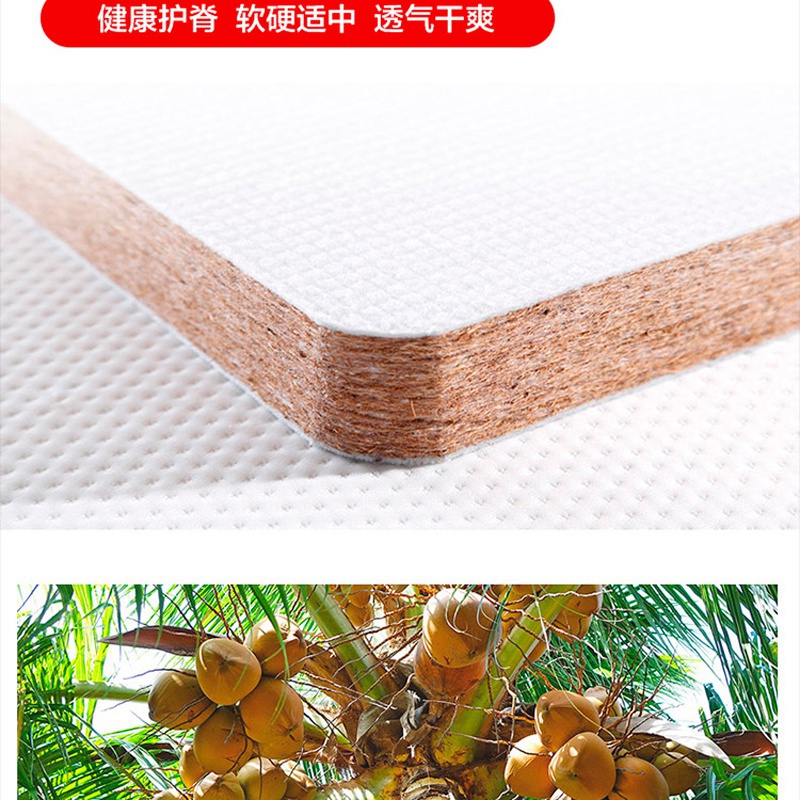 Q106蓝梦七号_14.jpg